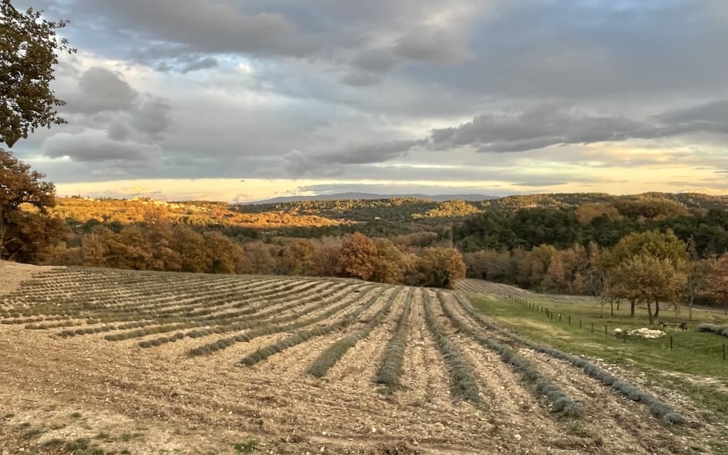 Gordes, country house on 7 ha with panoramic views. - panorama_roquejeane_2_1.jpg