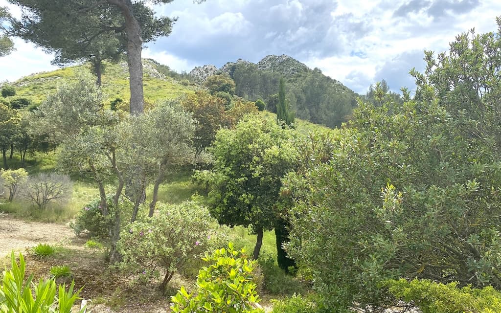 Rare Opportunity in Saint-Rémy-de-Provence - img_2683_copie_1.jpg