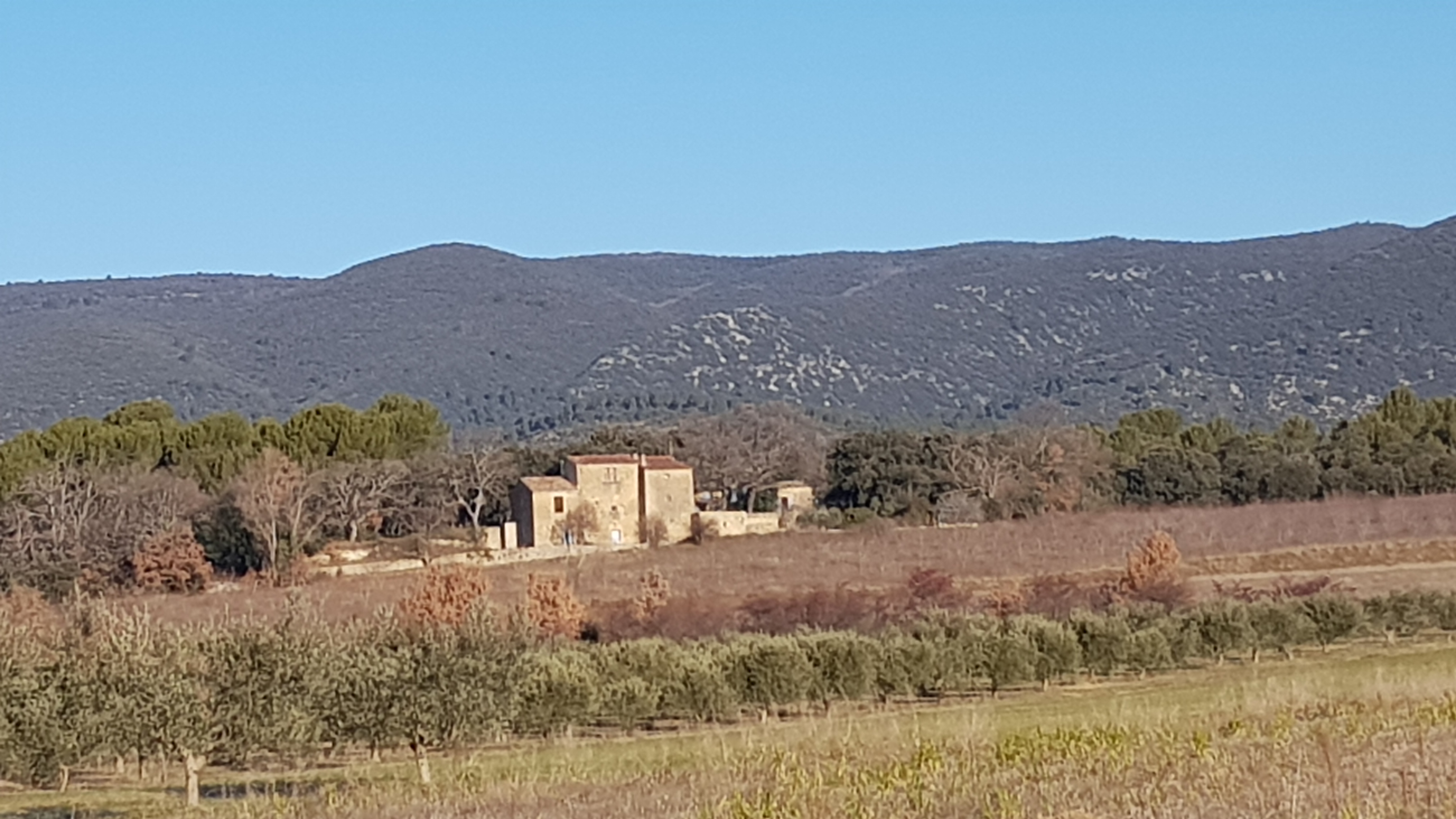 Cucuron Seigneur - 20250112_094112 2.JPG