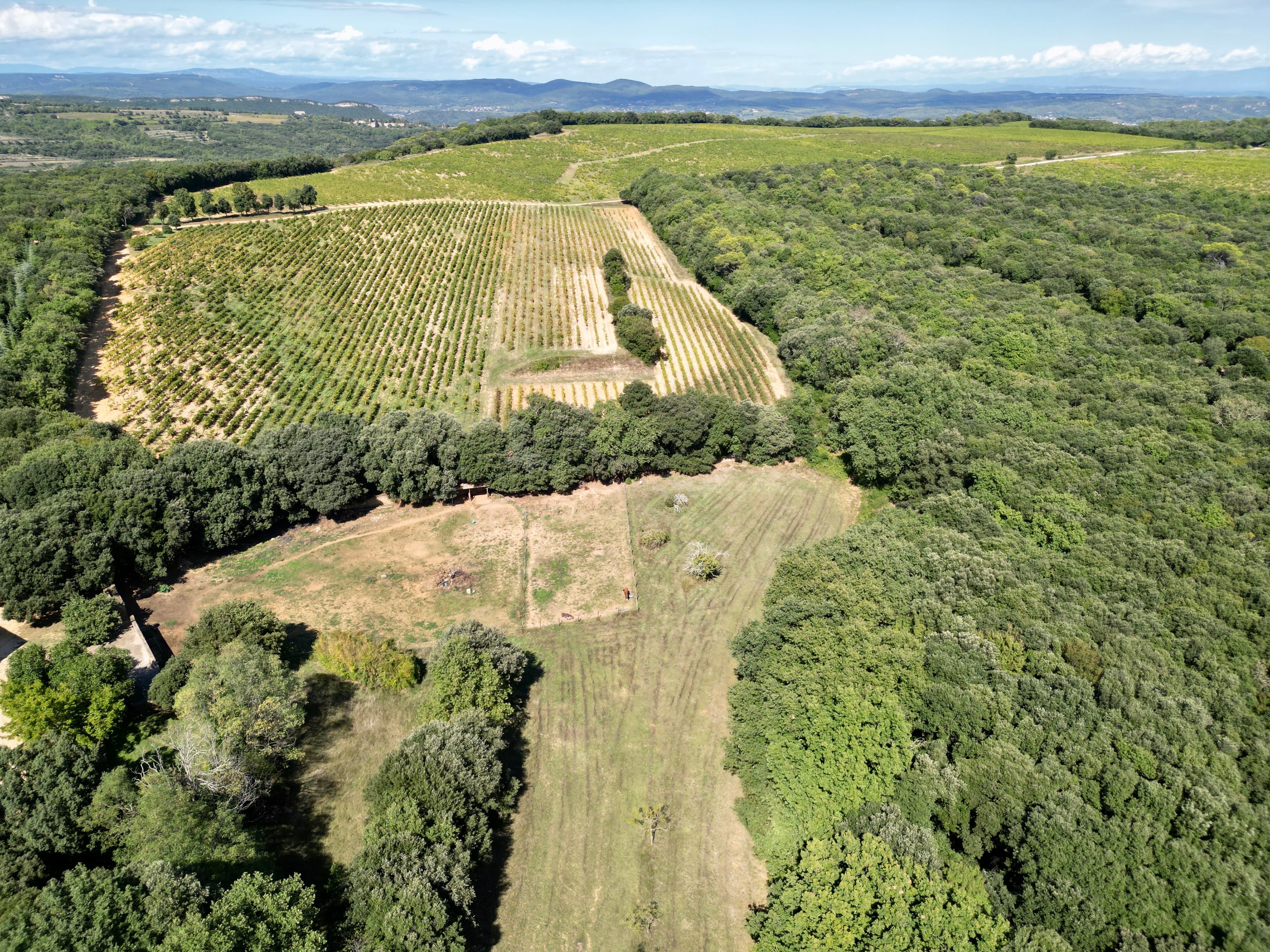 Domaine rural entre Uzès et Avignon - dji_fly_20250915_151722_685_1758016996922_photo.jpg